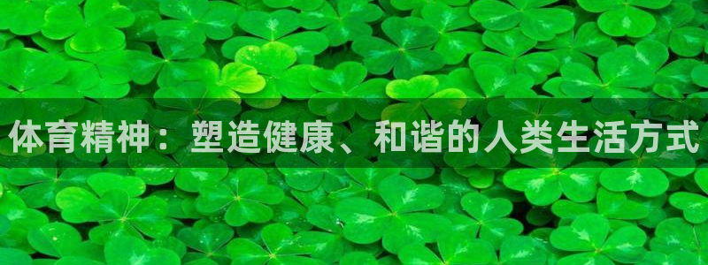 MK体育官方正版app五金厂：体育精神：塑造健康、和