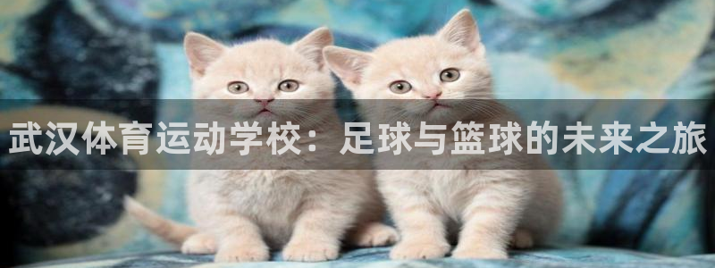 MK体育官网下载平台注册要钱吗：武汉体育运动学校：足