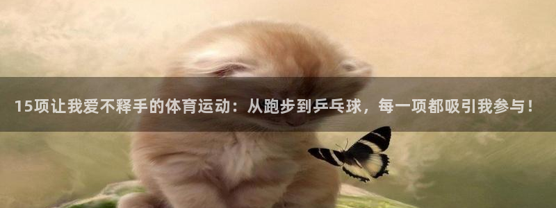 MK体育官网下载软件：15项让我爱不释手的体育运动：