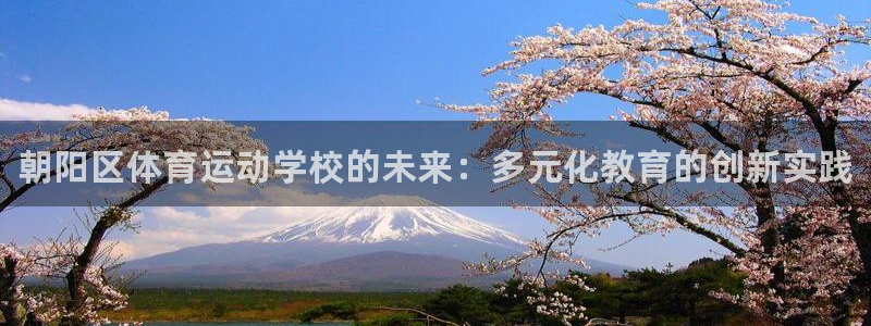 MK体育官方正版app官方：朝阳区体育运动学校的未来