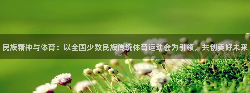 MK体育官方正版app神州：民族精神与体育：以全国少