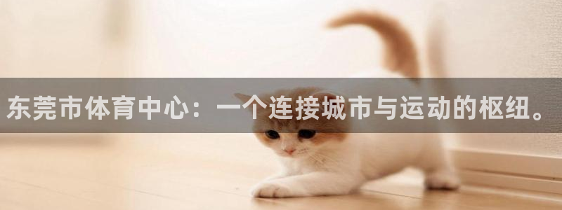 MK体育官方集团官网：东莞市体育中心：一个连接城市与运动的枢