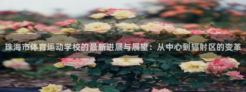 MK体育官网下载平台注册流程视频：珠海市体育运动学校的最新进