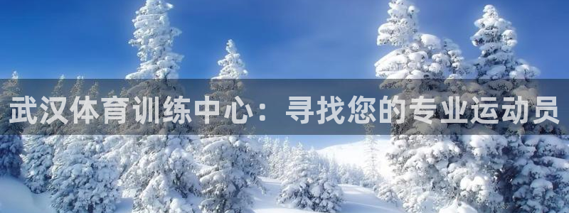 MK体育官方正版app娱乐下载：武汉体育训练中心：寻