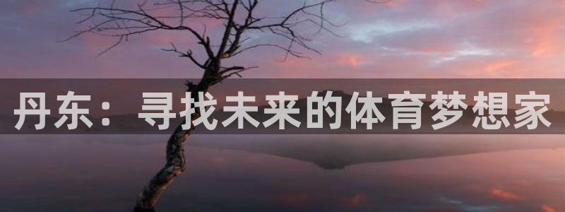 MK体育官网下载招商电话号码是多少：丹东：寻找未来的