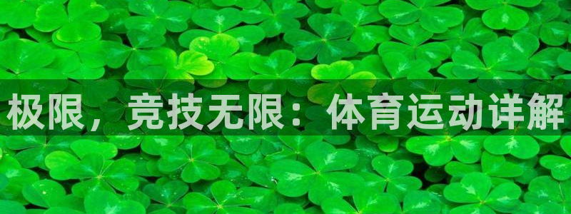 MK体育官网下载招商电话是多少：极限，竞技无限：体育运动详解