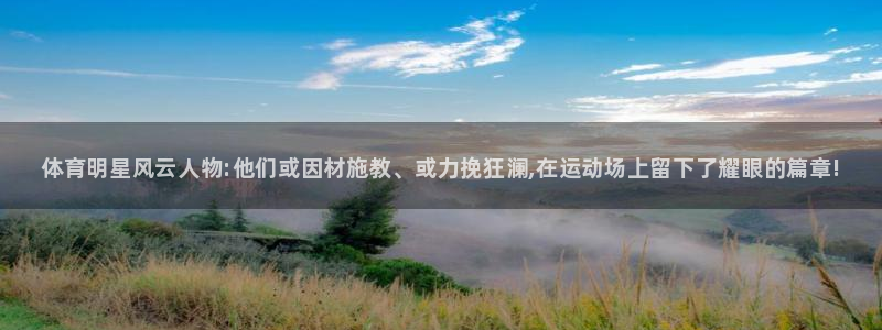 MK体育官方正版app娱乐首页官网下载