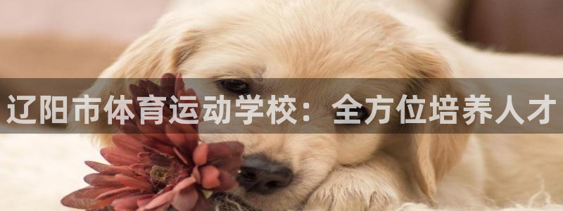 MK体育官网下载招商电话号码是多少号
