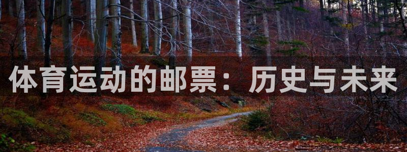 MK体育官方平台体育