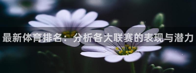 海南MK体育官网下载发展怎么样