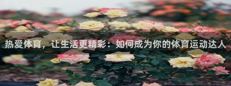 MK体育官网下载是干嘛的公司：热爱体育，让生活更精彩：如何成