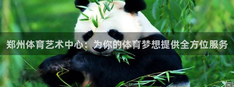 MK体育官网下载招商：郑州体育艺术中心：为你的体育梦想提供全