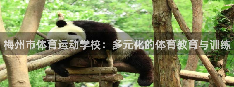 MK体育官方正版app集团简介：梅州市体育运动学校：