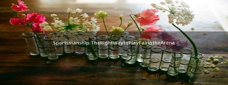 MK体育官网下载平台：Sportsmanship:T
