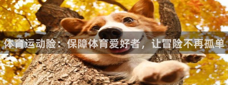 MK体育官网下载官方客服电话：体育运动险：保障体育爱好者，让