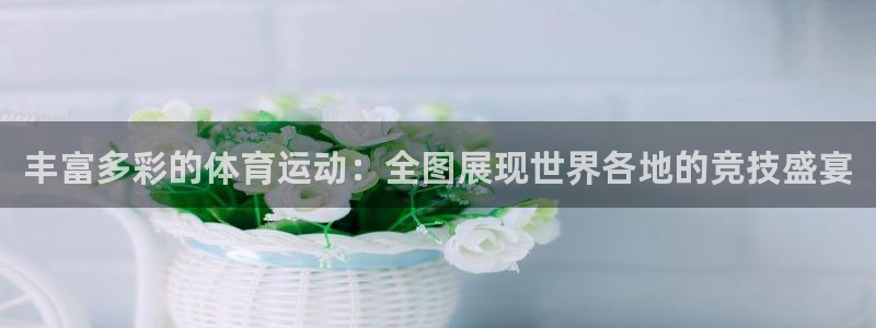 MK体育：丰富多彩的体育运动：全图展现世界各地的竞技盛宴
