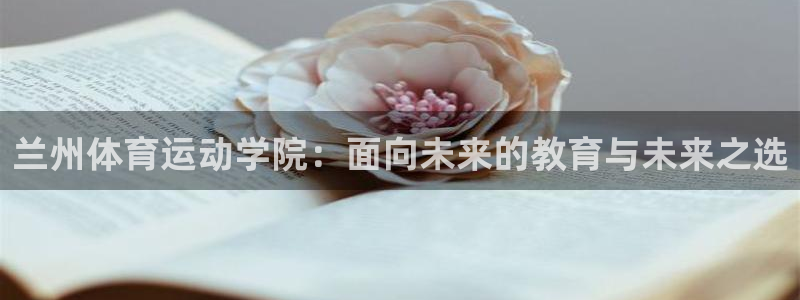MK体育官网登录