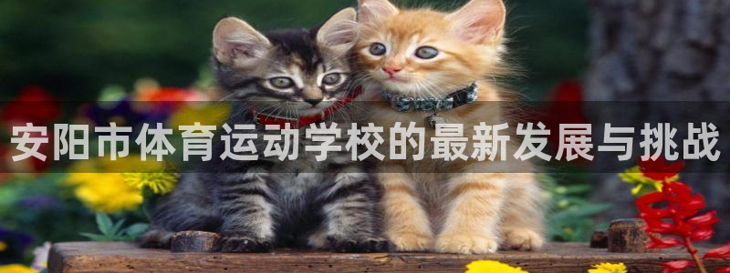  mk体育官网登录入口网址：安阳市体育运动学校的最新发展与挑战
