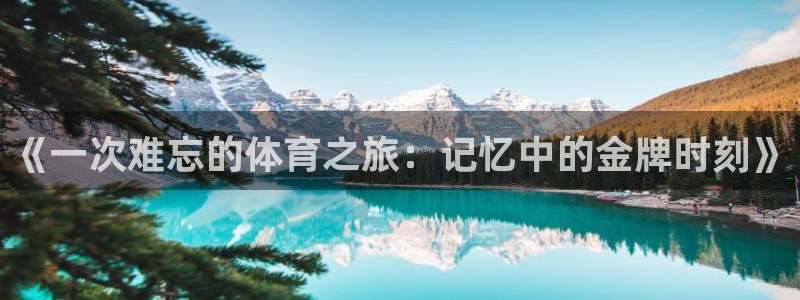  MK体育正规下载平台：《一次难忘的体育之旅：记忆中的金牌时刻