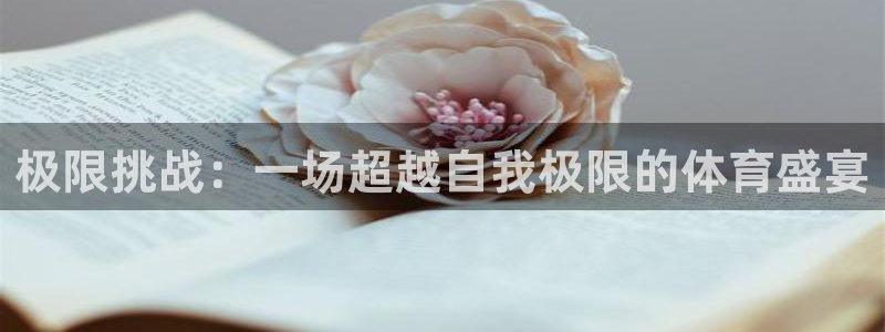 mk体育平台登录入口：极限挑战：一场超越自我极限的体育盛宴
