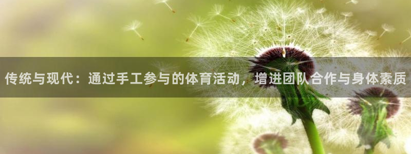 mk体育是哪个旗下的品牌：传统与现代：通过手工参与的体育活动