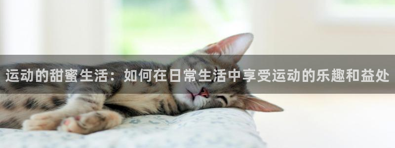 mk体育app官网版最新版本更新内容是什么