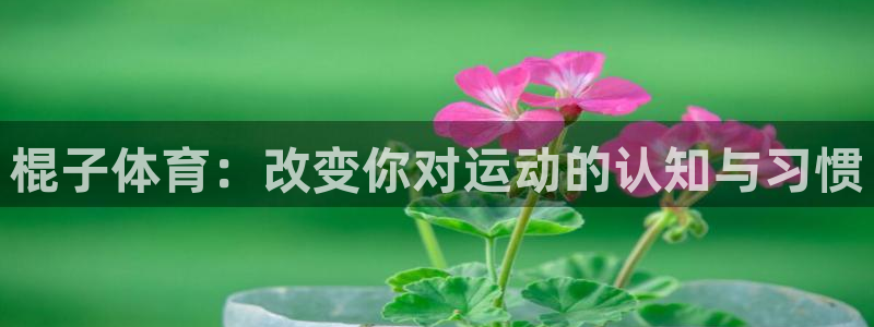mk体育官网登录入口网址是多少
